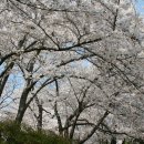 경인석유 이미지
