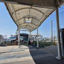 (주)부산남항유람선 자갈치크루즈 | 부산 자갈치크루즈 탑승기: 바다 위에서의 여유로운 힐링