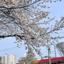 운천주유소 이미지