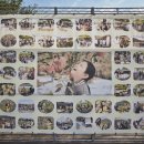 바리실마을 이미지