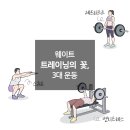스트롱무브 이미지