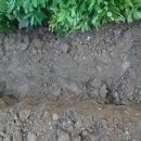 노을9(가양) 이미지