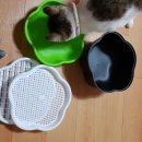 평산관 합기도 이미지