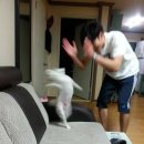 에스엠히어로