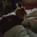 시원안마시술소 이미지