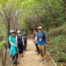 서리풀길 9 이미지