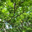 오월부동산중개 이미지