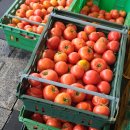 청학농장 이미지