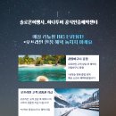 솔로몬여행사