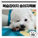 복슬 강아지 | 강아지 뼈간식 추천 복슬강아지 송아지목뼈 내돈내산(칼로리, 뼈까지 다 먹어도 되나요?)