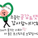 벚꽃로12길 이미지