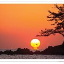 노래에빠진사람들 이미지