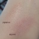 코랄베이지 네이버블로그
