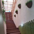 힐링 피부샵 이미지