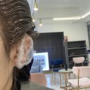 부산 사직동 미용실 추천/ 로이드밤 사직점_본식 전 염색+클리닉 후기