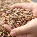 반여착한동물병원 이미지