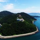 통영터널로가로수 이미지