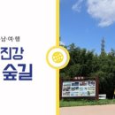 섬진강대나무숲길 이미지