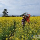 노을정전망대공중화장실 | 올레9·10코스 - 산방산·송악산 절경을 따라 걸은 유채꽃길
