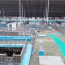 중앙1호 태양광발전소 이미지