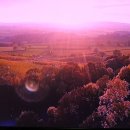 나실목장 이미지