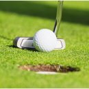 언더파스크린골프 이미지