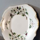 도그 블라썸 이미지