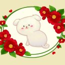 설레아