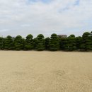 효성공원(4) 이미지