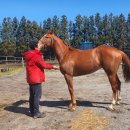 디케이팜 이미지