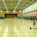 국제배드민턴장 이미지