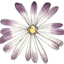 힐링수채화&데생 이미지