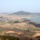 팔금골목회식당