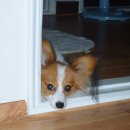 조은사료 이미지