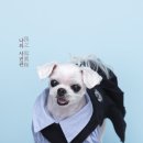 컬러(color)그리다 이미지