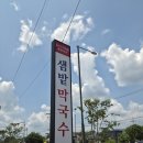 ⭐ 춘천 막국수 맛집 샘밭막국수 본점 솔직 후기, 일반 막국수 vs 순메밀 막국수 비교