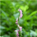 도원2농장 이미지