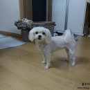 우다다(WOODADA) 이미지