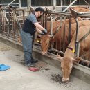 스마트2농장 이미지