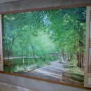 영등포구 치매지원센터 이미지