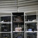 명품세차 이미지