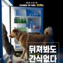 펫플래닛 이미지