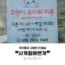 사계절 예쁘개 이미지