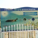 거북선태양광발전소 이미지