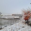 봉성축산 이미지