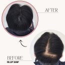 수원-1897 이미지