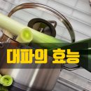 탕대팔