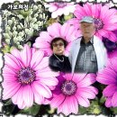 금강목욕탕 이미지