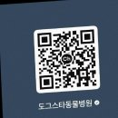 정직한 동물병원 이미지