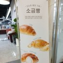 브레댄코수지